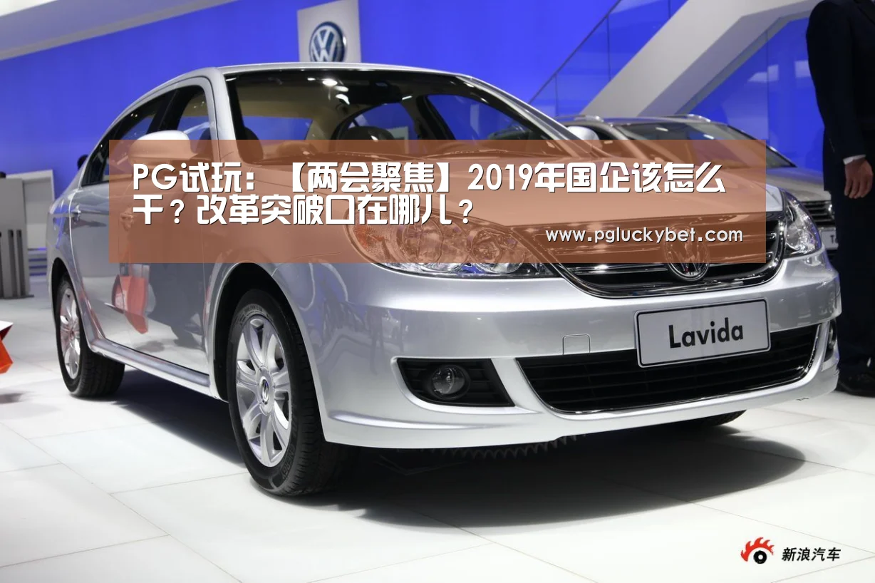 PG试玩:【两会聚焦】2019年国企该怎么干?改革突破口在哪儿?(图1) PG中国