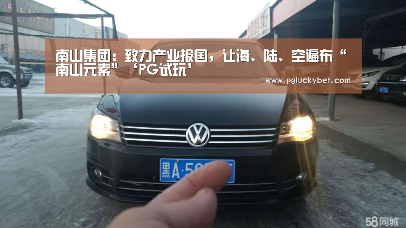 南山集团:致力产业报国,让海、陆、空遍布“南山元素”‘PG试玩’(图1) PG地址
